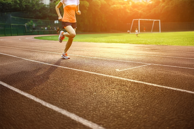 Jogging track surrounded by greenery